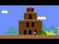 Can Mario Collect All Random Flower in Super Mario Bros. | ADN MARIO GAME