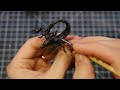 Monster Hunting Wagon | Giant Scorpion Ambush