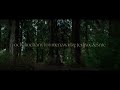 David Kushner - Daylight (Polish Lyric Video)