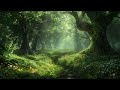 Peaceful Forest Ambience and Music | peaceful fantasy music and sounds of a forest in spring