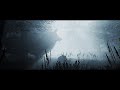 Deftones - Ohms [Official Music Video]