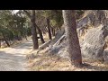 Jaen sheep on the way to Santa Catalina castle