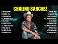 Top Hits Chalino Sánchez 2024 ~ Mejor E r o s R a m a z z o t t i lista de reprodu