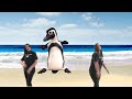 Ocean Jam by Music Movement ♫ Fun Sing-a-long & Action Songs for Kids ♫