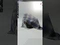 Realistic Cloth Animations are this EASY #blender #tutorial