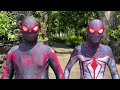 SUPERHERO's Story || TEAM SPIDER MAN VS Bad Guy Joker...? ( Funny, Live Action )