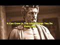 CONCENTRATE ON YOURSELF NOT OTHERS| Marcus Aurelius Stoicism