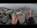 They're STILL HERE?? Cape Cod Canal LATE SEASON Striped Bass Fishing! How to Jig for Striped Bass