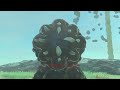 Zelda: Tears of the Kingdom - All Bosses (No Damage)
