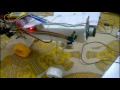 CD ROM BLDC motor test 30 AMP ESC