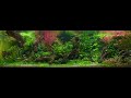 [Wide] Two worlds | Aquascape • Fixed 3hours 4K HDR 60fps • Water sound