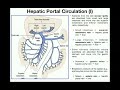 Anatomy | Hepatic Portal Circulation EXPLAINED