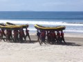Coronado Navy SEALs Training BUDs on Beach
