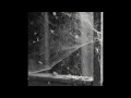 Plasticine Cowboy ⁠— YELLOW BARKS SPIDER (2023 Remaster) [Full Album Stream]