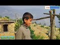 Nepali Mountain Village farmar Life |  | Sheep Shepherd Life | Real Life |