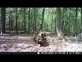 Coyote With Hurt Paw Limping In The Distance Rexing Trail Camera Video