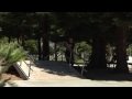 Richmond Skate Park - Skate Profile