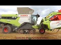 Claas - Fendt - MAN / Getreideernte - Grain Harvest  2024