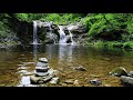 20 Minutes of Relaxing River Sounds - Flowing Water and Forest Creek Ambience 🏞️