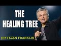 The Healing Tree   Jentezen Franklin
