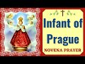 Novena to the Infant Jesus of Prague