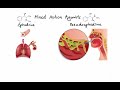 Pharmacology - ADRENERGIC RECEPTORS & AGONISTS (MADE EASY)