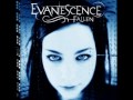 Tourniquet - Evanescence (Audio)
