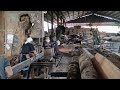 produksi papan di sawmill//kayu campuran grade-B , tetap lanjut