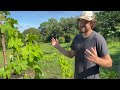 Small Florida Farm Growing Unique Edible Crops!