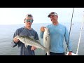 The Best TOPWATER Bite In YEARS! Chesapeake Bay Striped Bass Fishing!