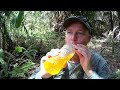 Tim Harrell - Swamp Trail Camera Pickup