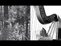 Lamentation 7 for cross strung harp by Charles Hooper
