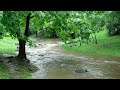 Rain sounds in a stream is recommended when you can't sleep. white noise that helps you fall asleep