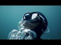 Experience the Underwater World Through the Eyes of a Free Diver | Short Film Showcase