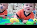TOP Trending Baby Video: Funniest Twin Baby EVER!! 5-Minute Fails
