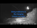 Thylaman's Quest (S1 - Ep#5) : Trailcam Trauma (Thylacine Research)