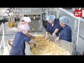 Lays Chips Factory | How Fresh Potato Chips Are Made