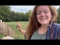 Landscaping & Vegetable Garden Tour With Harvest