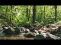 Relaxing River Sound | River Sound for Meditation, Spa, Zen, Study, Work, Sleep, Relax