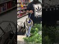 Man Takes His Pet Lemur to Walmart || ViralHog