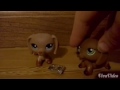 Lps Top 10 Things I Hate The Most