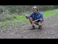 Copperhead Snake Identification: 3 Easy Tips!