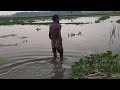 Bahadur Bhai caught fish in the new flood water with a spear।।  natural fishing।।  village fishing