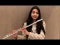 Champagne Problems - Flute Cover - Taylor Swift
