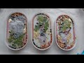 Botanical Resin Trinket Trays using the **CLING FILM TECHNIQUE**