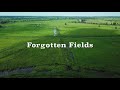 Georgetown SC Rice Fields - Forgotten Fields by Aerial Videographer Steve Tanner