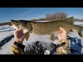 Early Ice And The Pike Were Hungry!