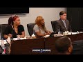Long and contentious – Full video of Thornton Township Board meeting 6.20.24
