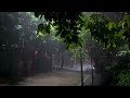 The whisper of nature, ASMR relaxation with night rain, a haven for stable sleep that calms the mind
