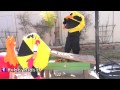 Giant PAC-MAN Egg by HobbyKidsTV